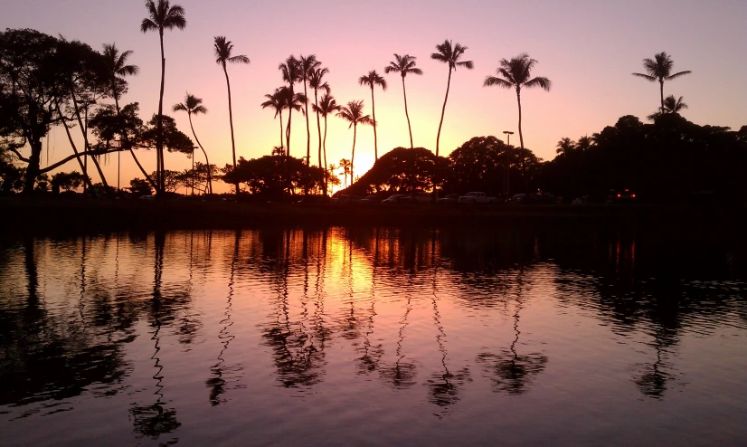 the sun is setting behind some palm trees