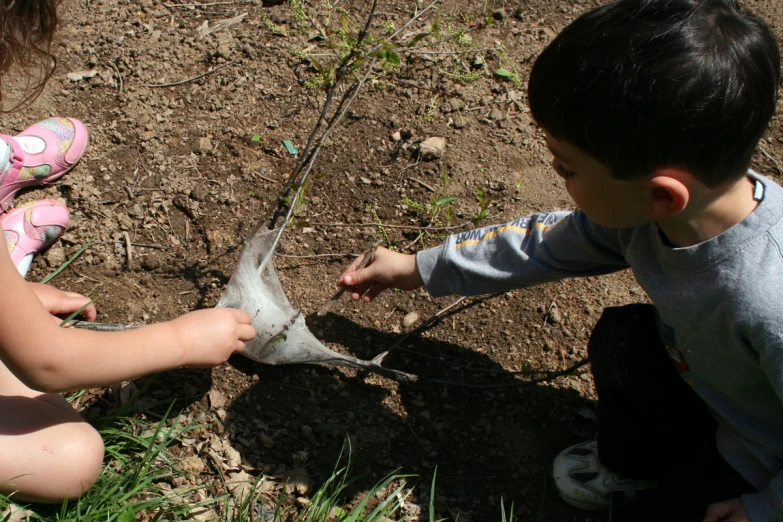 two children in the grass playing with a bird