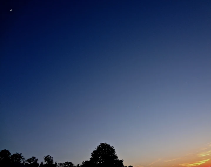 the silhouette of several trees at dusk with a moon in the distance