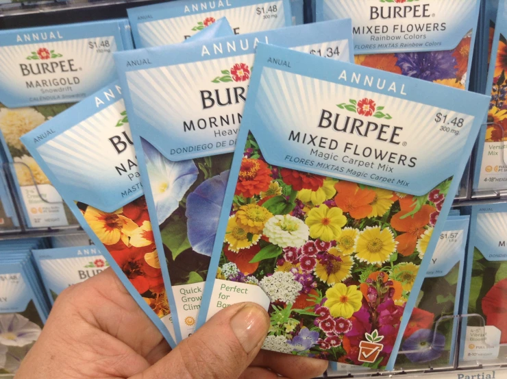 a hand holding flowers that say burpee and the colors vary in each packet