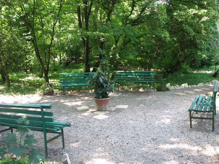 a park has benches and a tree in the middle