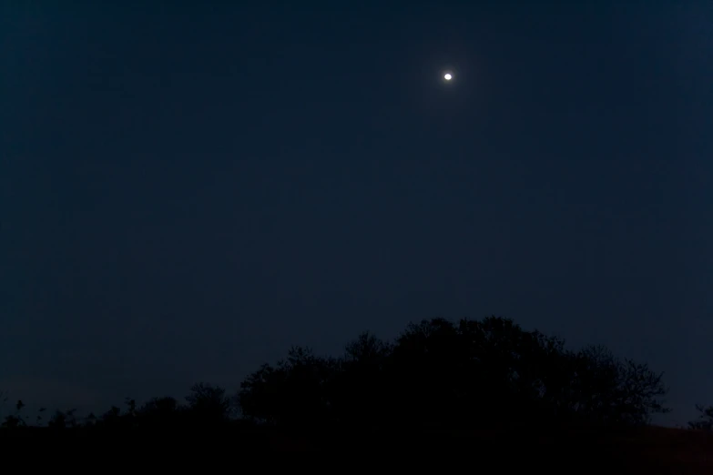 the moon over trees in the night sky