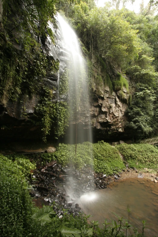 a big water fall that has lots of trees around it