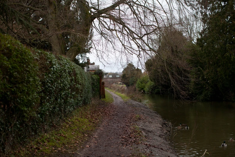 a river flowing under a bridge near a road