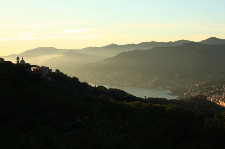 a hillside with a view of trees and a city