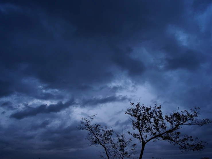 some dark clouds over a tree in the dark