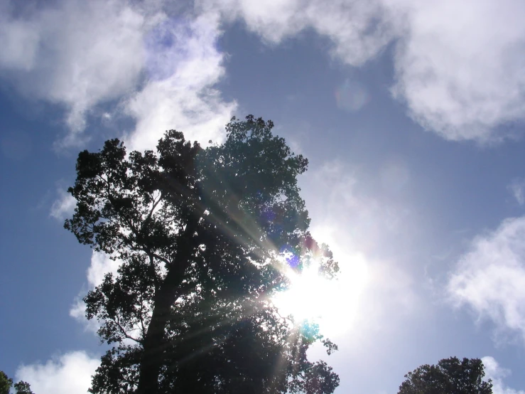 a sun shines through the clouds above a tree