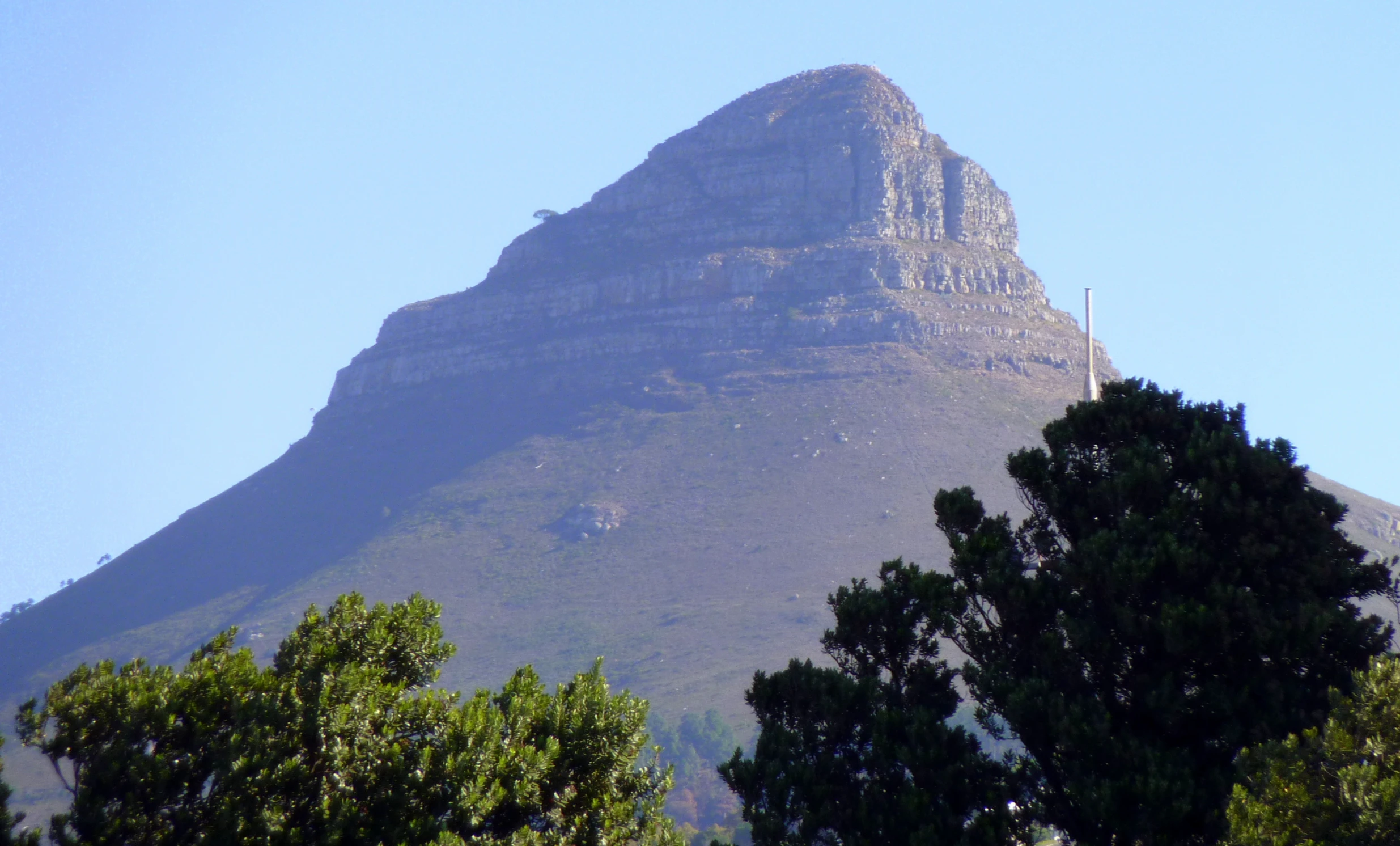 a tall mountain with lots of trees below