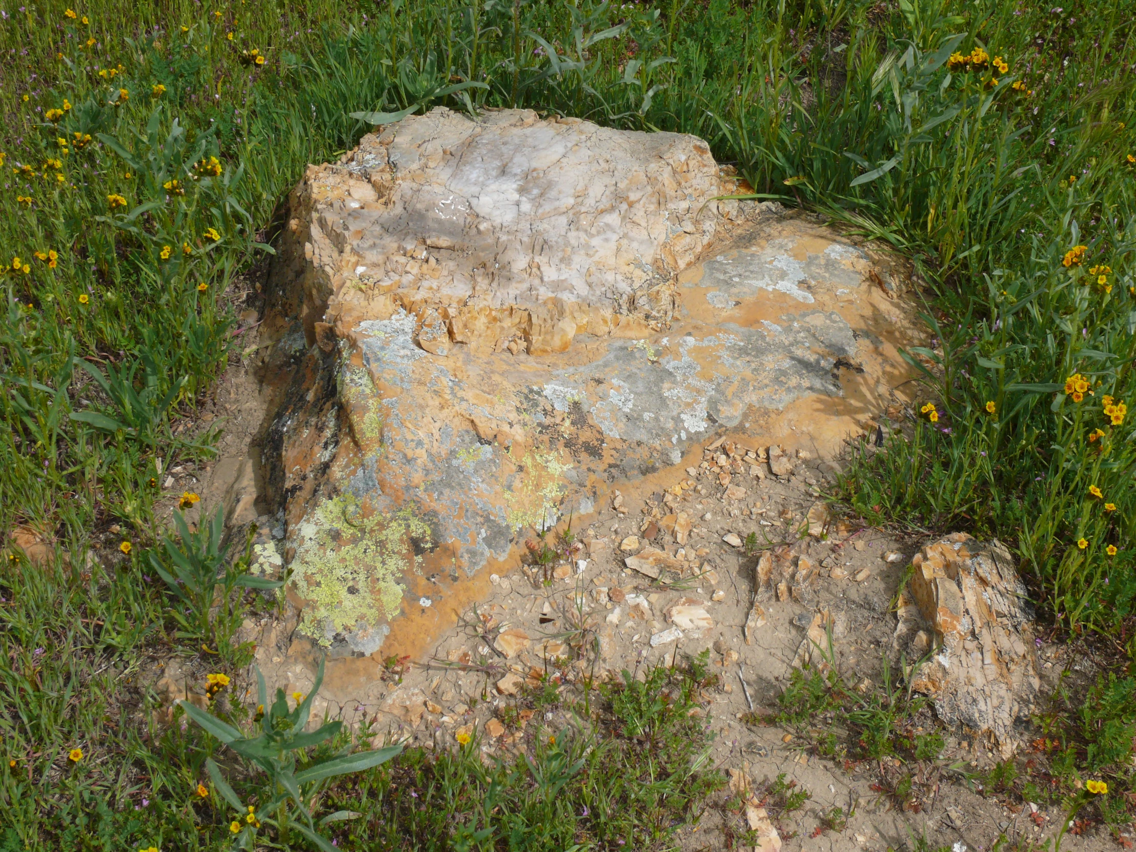 a large rock sitting in some grass