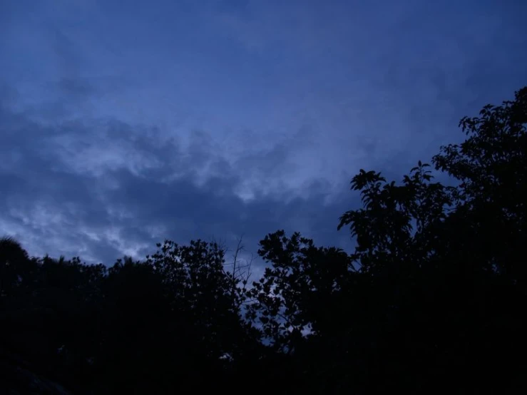 a view through trees at dusk with clouds