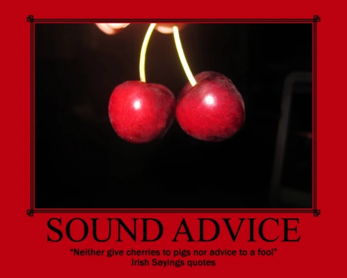 the book cover features two cherries, with red background and text