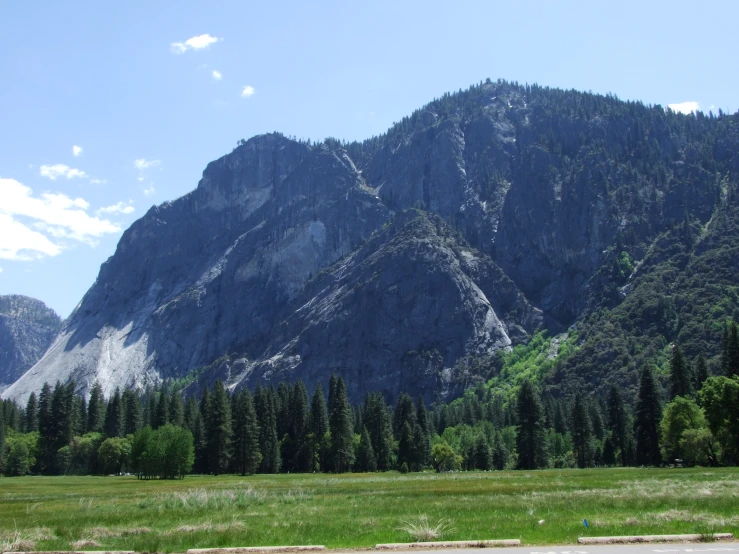 the mountainside with some trees, grass, and mountains