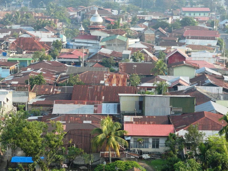 a city has lots of old houses and some trees