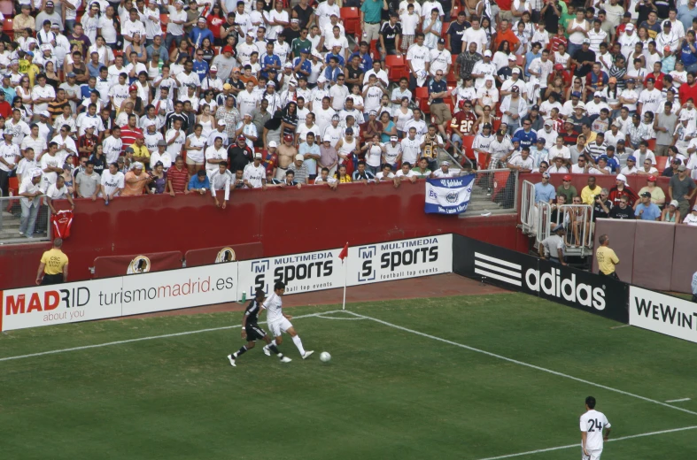 soccer players on the field during a game