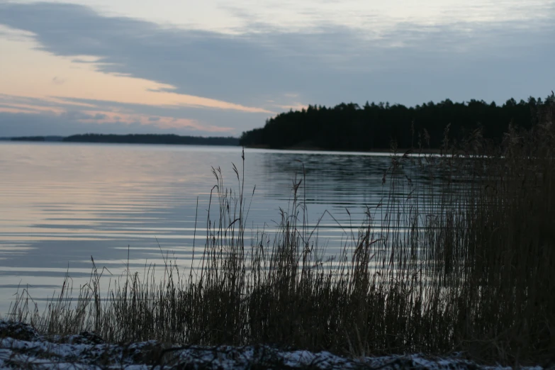 there are trees by the water and in the distance is a mountain