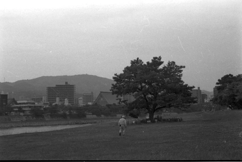 a person walking in a field near a tree