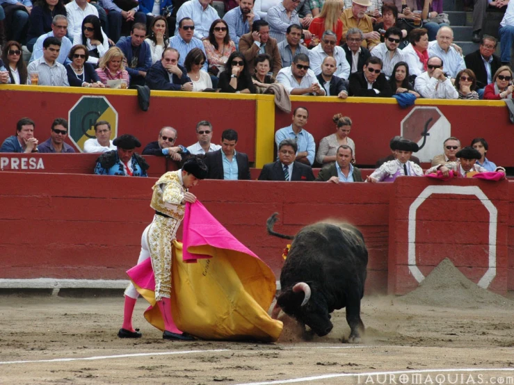 a bull is pulling a man from his cage in an arena