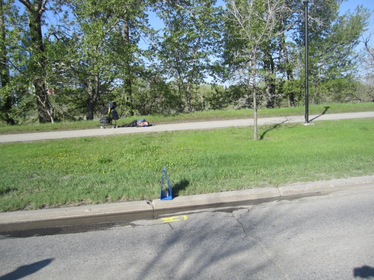 the road and sidewalk on the side of a hill in front of trees