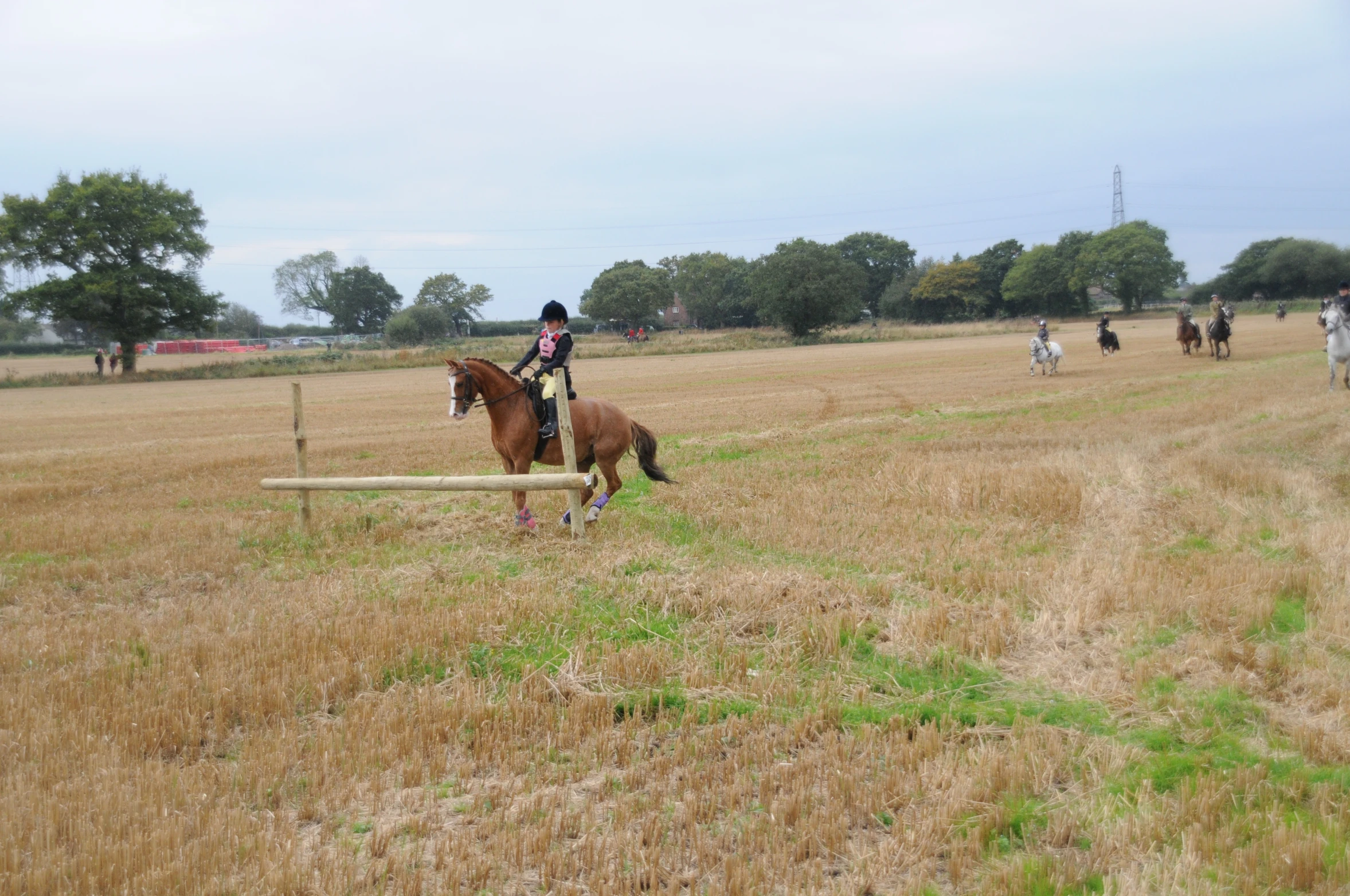 some people riding horses in a field by some trees