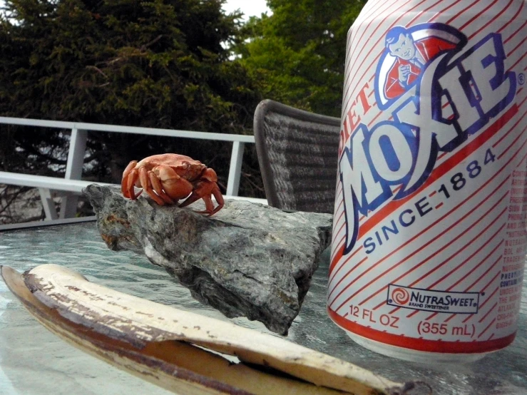 an crab rests on a rock in a river, near a can of root beer