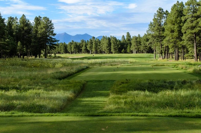 a lush green golf course surrounded by trees