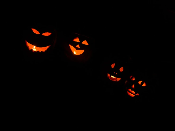 some scary pumpkins with glowing faces are on display