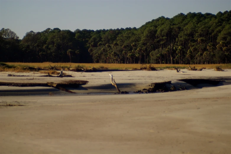 an image of an empty beach area with trees