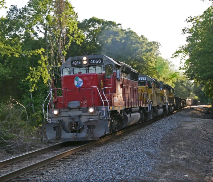 a train traveling down the tracks through forest