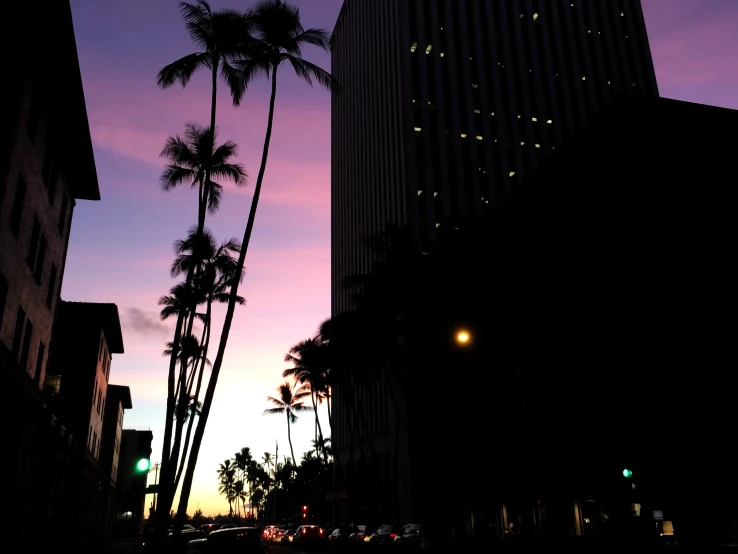 an office building and palm trees silhouetted against a colorful sky