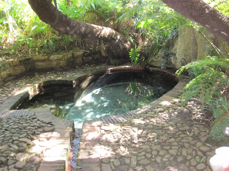 the stone walkway leads to an outdoor pool