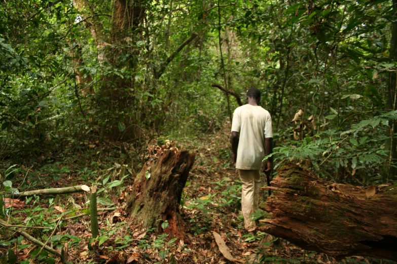man walking in dense tropical forest with fallen tree