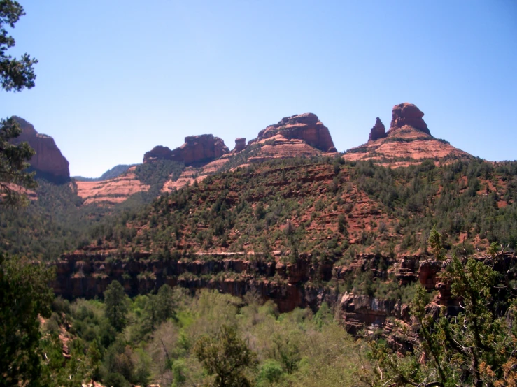 a mountain side with green plants and red rocks