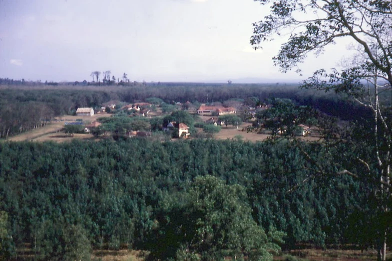 a view of a small village near a forest