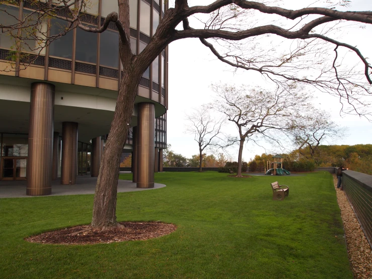 a park area with a bench and a tree in the foreground