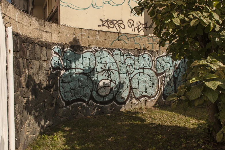 graffiti on a wall next to a tree