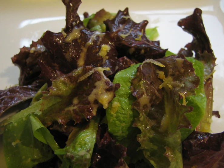 a plate filled with lettuce covered in toppings