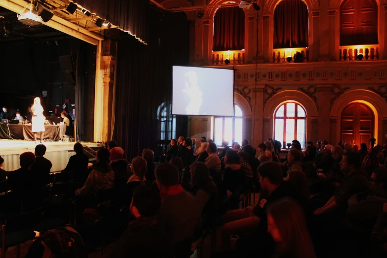 the audience in the theater is watching the performance