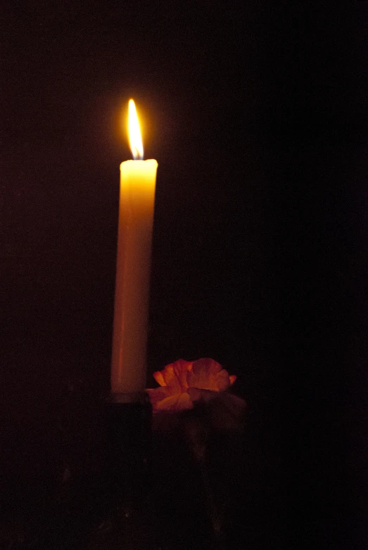 lit candle sitting in a dark room near flowers