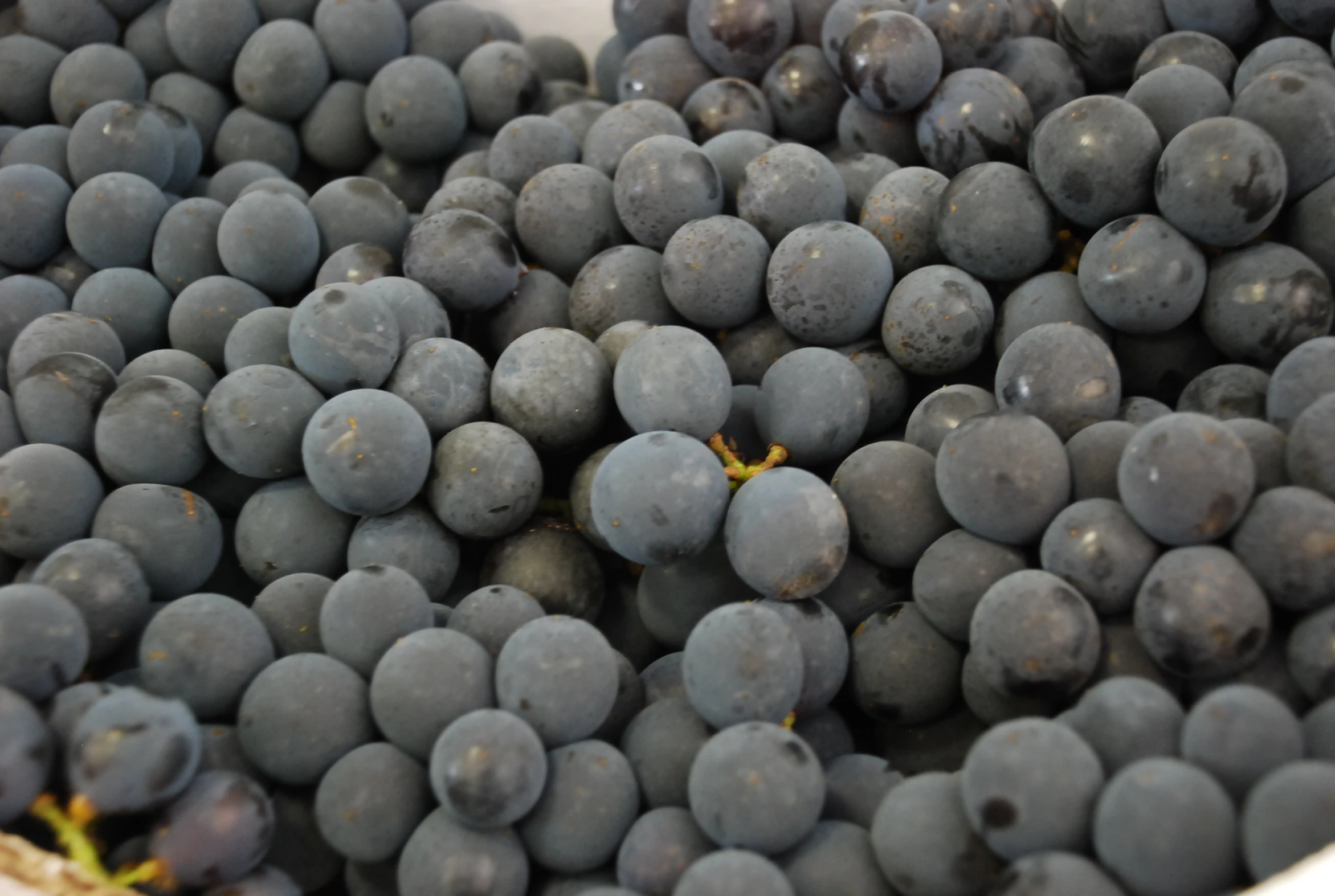 this is the image of several gs piled in a bowl