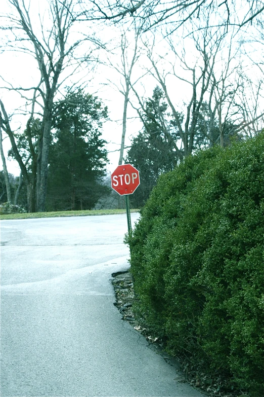a stop sign in the middle of a quiet street