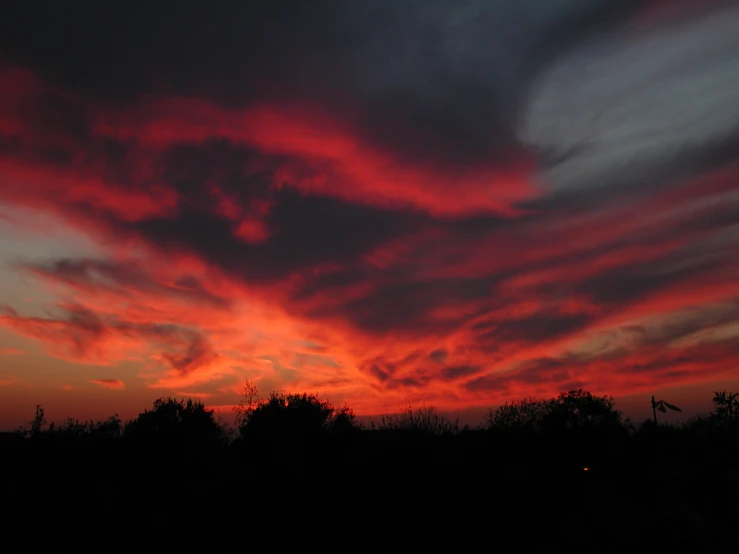 sunset in the sky above trees and an orange sky