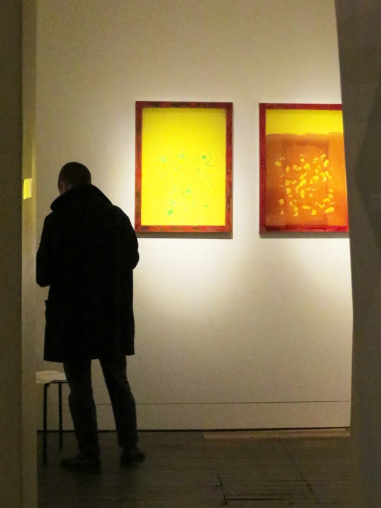 a man looking at two paintings on the wall