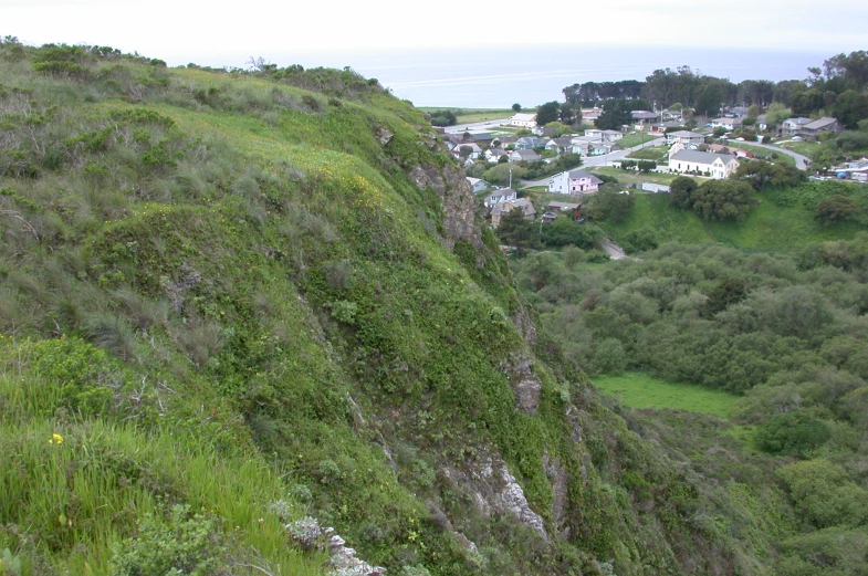 a view of the city below a cliff, while some trees can be seen from above