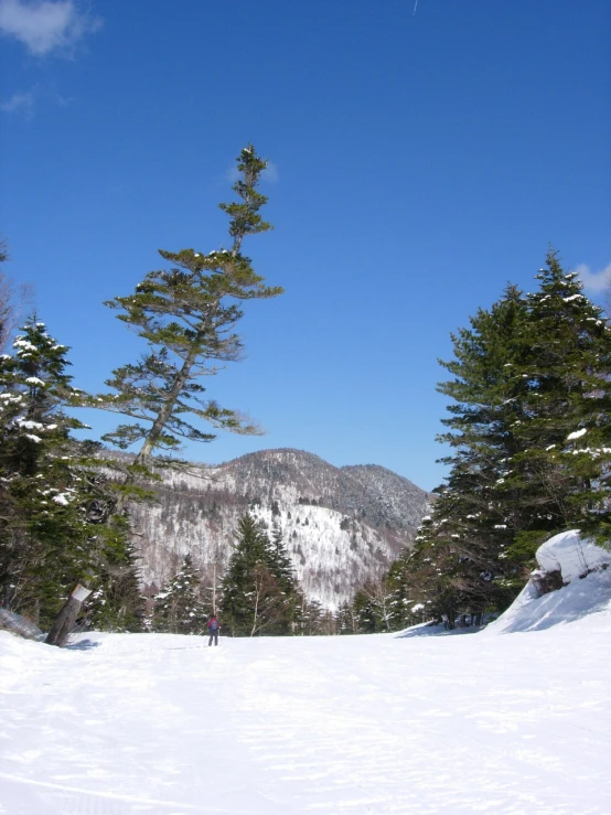 there is only one person on the snow skis