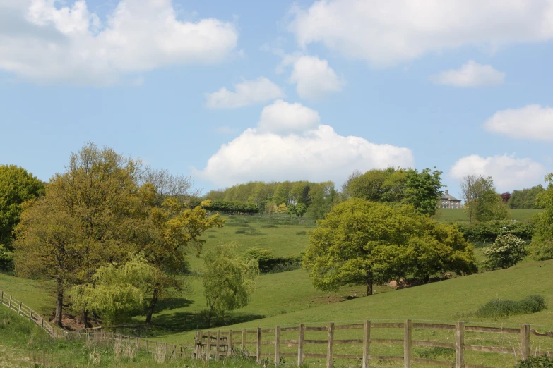 a field in the country with many trees and grass