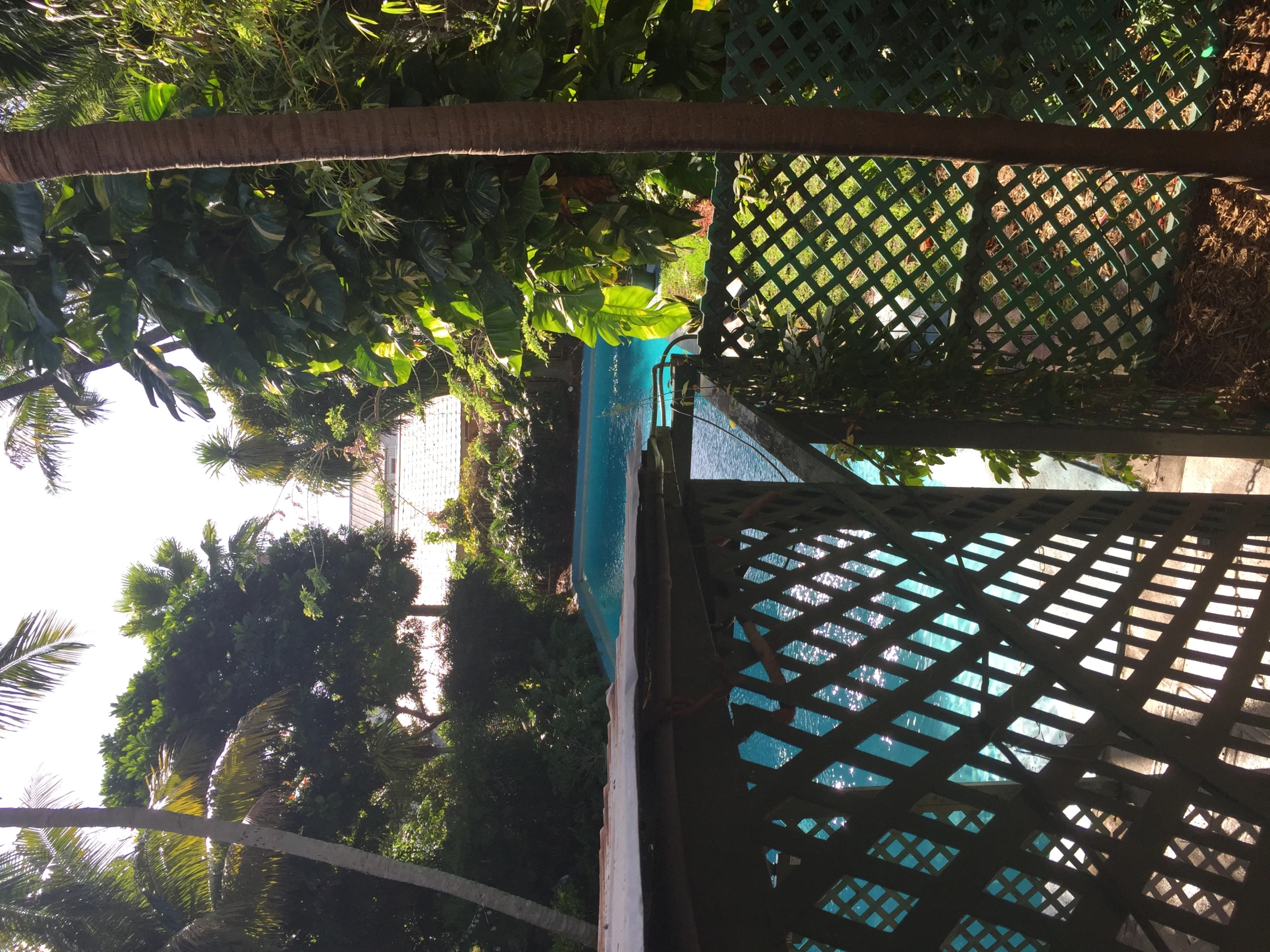 a patio overlooking the pool and trees