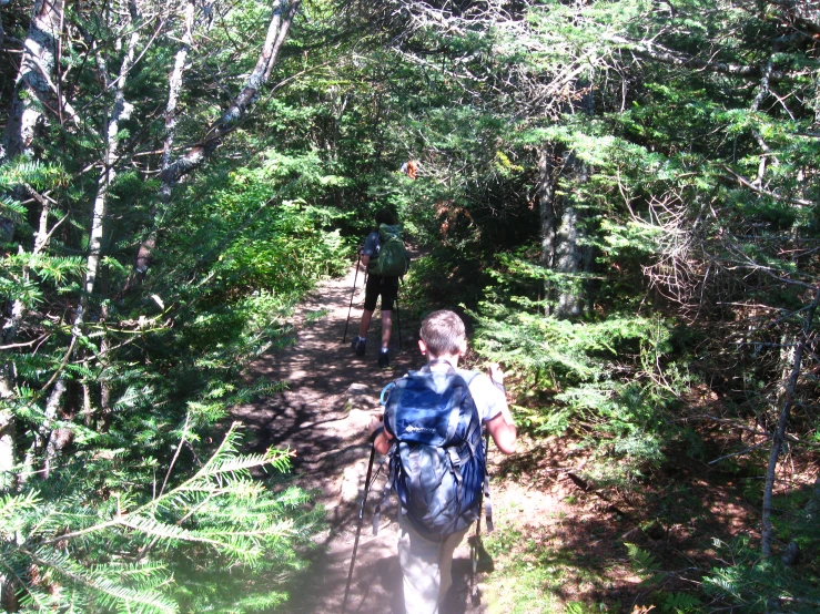 two people with backpacks walking in the woods