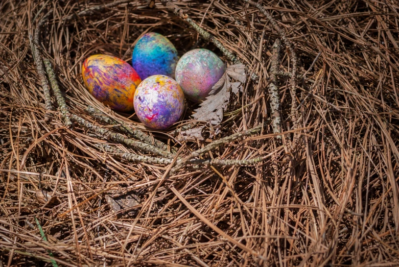 three eggs in a bird's nest with blue, purple, and pink paint