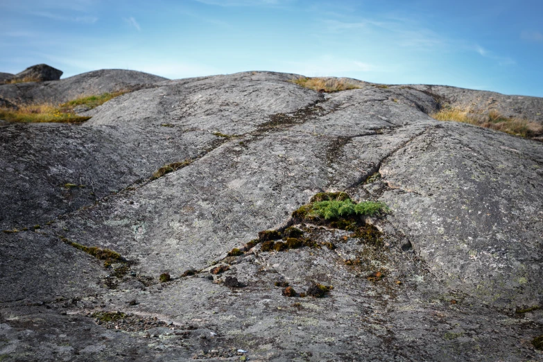 a rock covered in moss and rocks, with blue skies behind