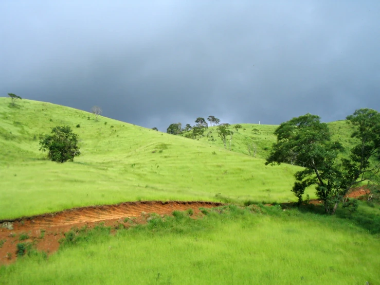 the rolling grass hill in the distance has dirt pathway